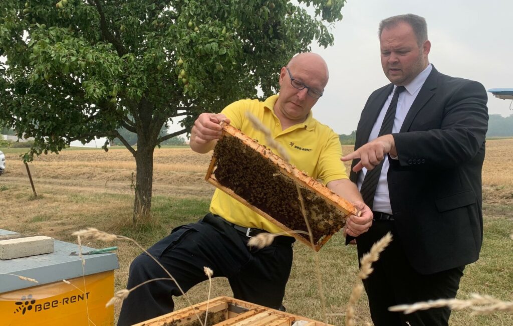 FREIE WÄHLER: Bienen brauchen ein Zuhause